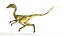 3d compsognathus compy model
