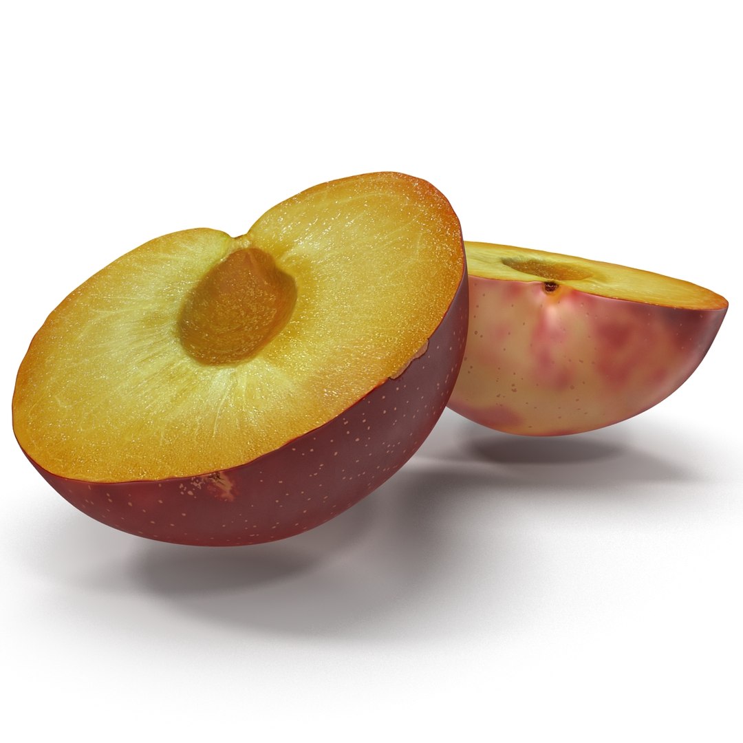 3d model plum half 2 modeled https://p.turbosquid.com/ts-thumb/23/L1Q7yN/C0nJCUiN/plumcrosssectionc4d3dmodel03/jpg/1435692576/1920x1080/fit_q87/665c8c8618d7a67952c7b3f962ca2dca2f5a0c75/plumcrosssectionc4d3dmodel03.jpg