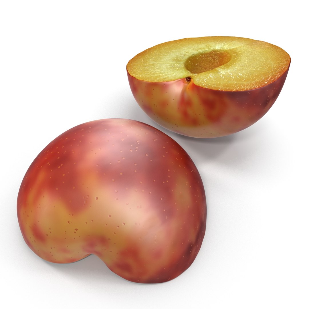 3d model plum half 2 modeled https://p.turbosquid.com/ts-thumb/23/L1Q7yN/Cb00wFAR/plumcrosssectionc4d3dmodel05/jpg/1435692577/1920x1080/fit_q87/8f76ba9cd12d1fd312e6a82ad1da515b13d3dac8/plumcrosssectionc4d3dmodel05.jpg