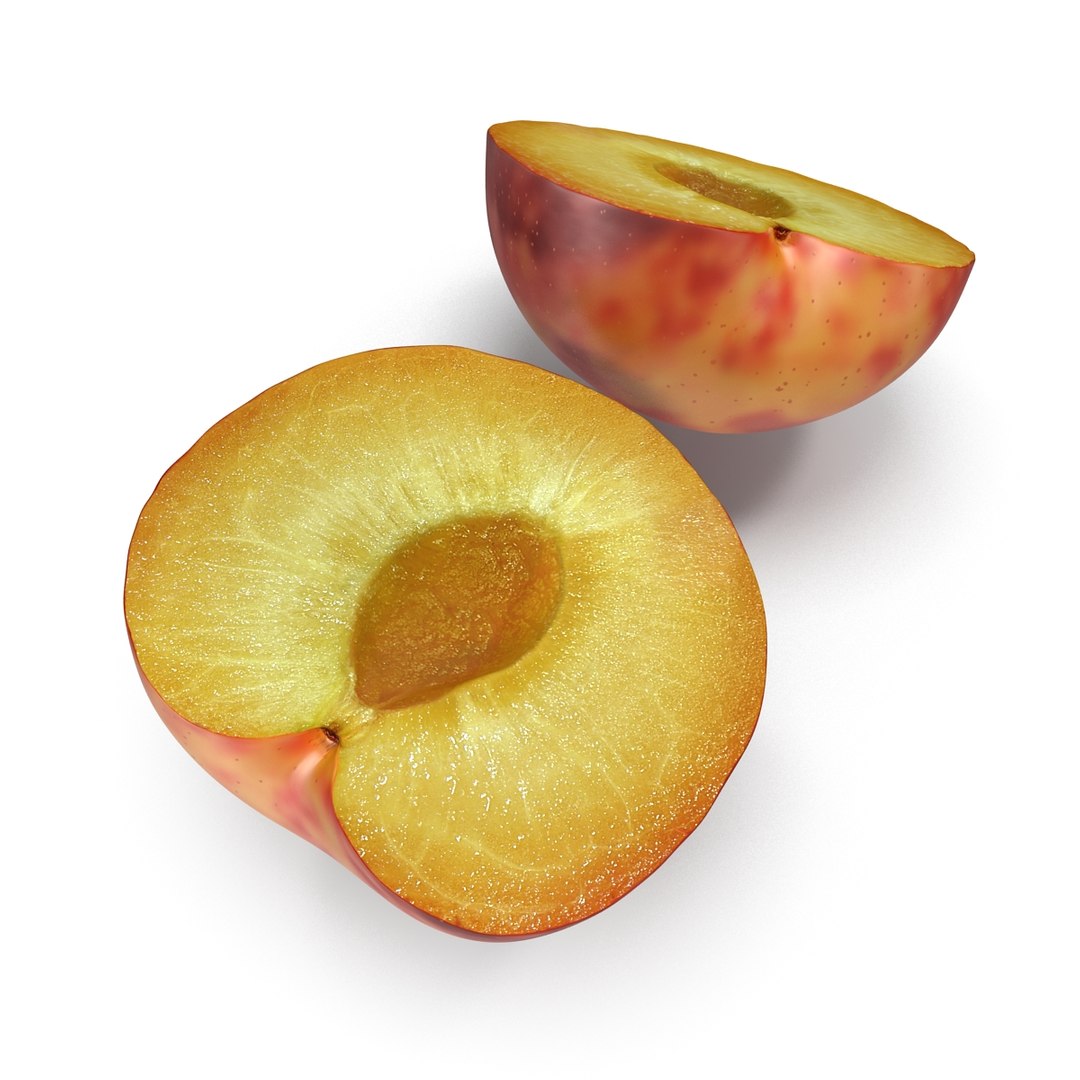 3d model plum half 2 modeled https://p.turbosquid.com/ts-thumb/23/L1Q7yN/EFc0akGW/plumcrosssectionc4d3dmodel02/jpg/1435692576/1920x1080/fit_q87/506da50b6f1ff50eba507293e0480027809177f5/plumcrosssectionc4d3dmodel02.jpg