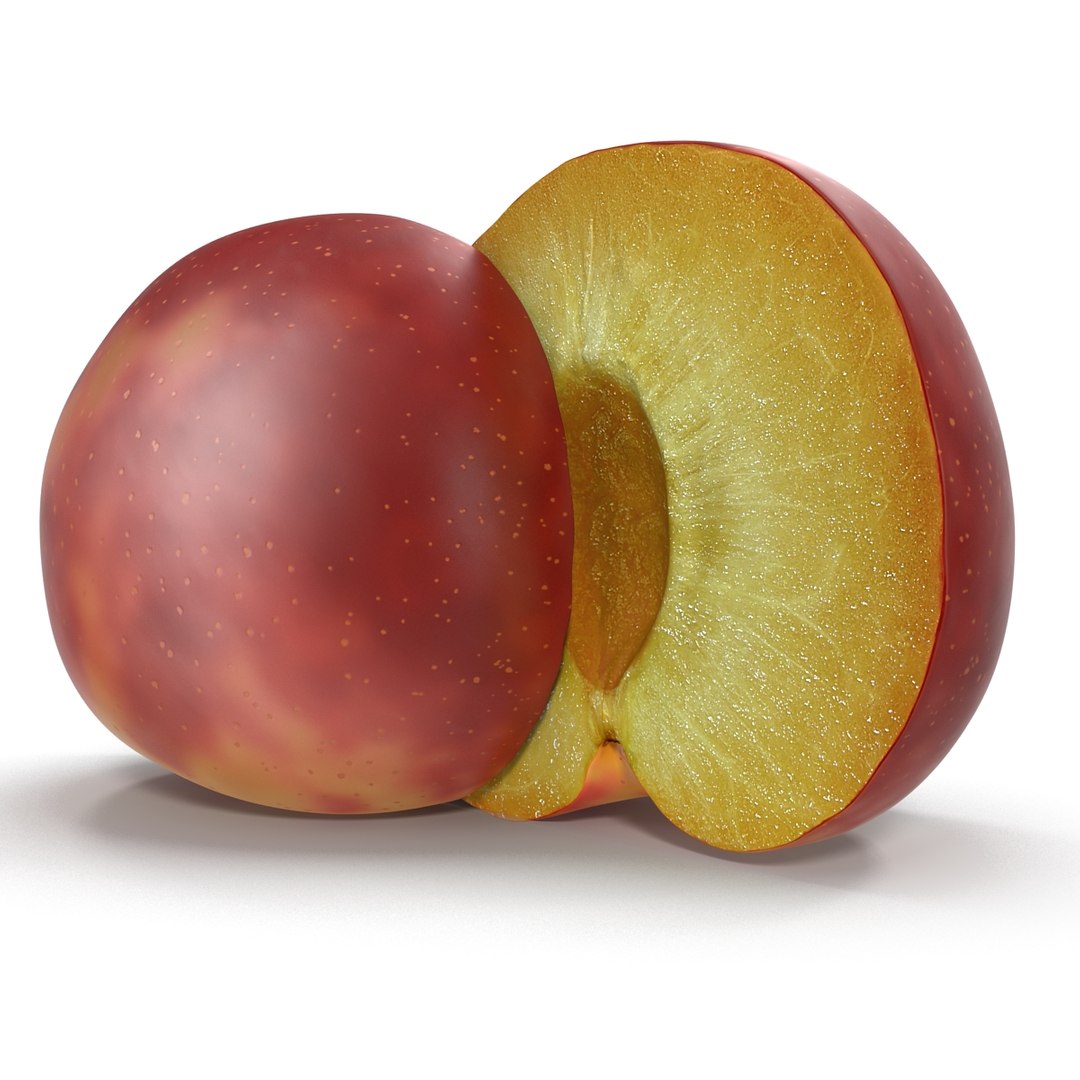 3d model plum half 2 modeled https://p.turbosquid.com/ts-thumb/23/L1Q7yN/HMggQDpY/plumcrosssectionc4d3dmodel06/jpg/1435692577/1920x1080/fit_q87/5d6426e92c060401ad6f96e006de50abf646c269/plumcrosssectionc4d3dmodel06.jpg