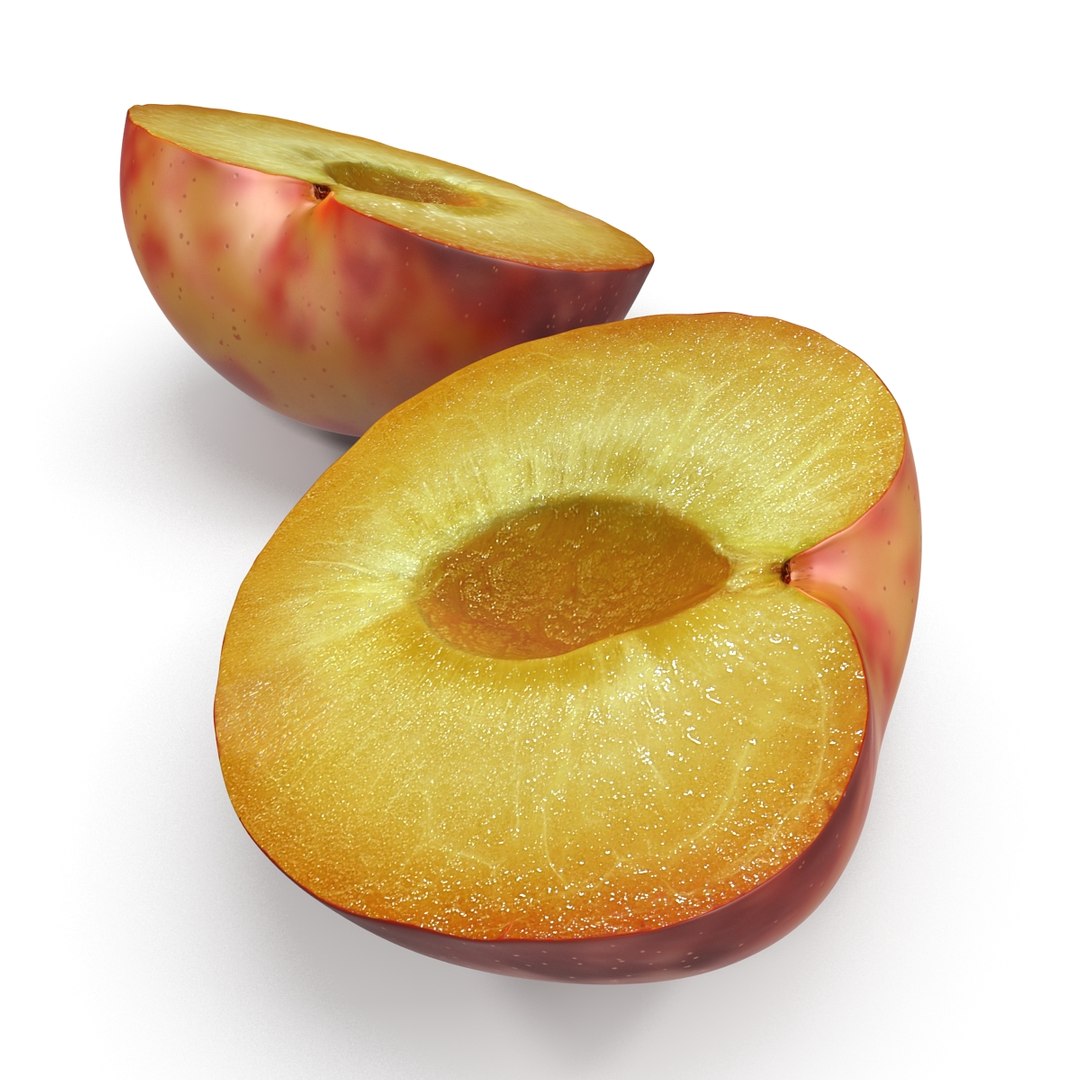 3d model plum half 2 modeled https://p.turbosquid.com/ts-thumb/23/L1Q7yN/Had1ySse/plumcrosssectionc4d3dmodel04/jpg/1435692577/1920x1080/fit_q87/91fa1750177691588dde094b69a35068a7b6a73b/plumcrosssectionc4d3dmodel04.jpg