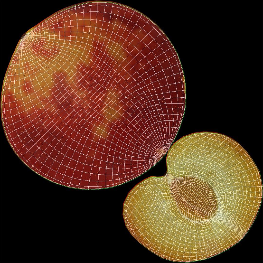 3d model plum half 2 modeled https://p.turbosquid.com/ts-thumb/23/L1Q7yN/NJzE1kjQ/plumcrosssectionc4d3dmodel17/jpg/1435692577/1920x1080/fit_q87/440e829f5adbbcce1e1e356856248659f7e6a6a9/plumcrosssectionc4d3dmodel17.jpg