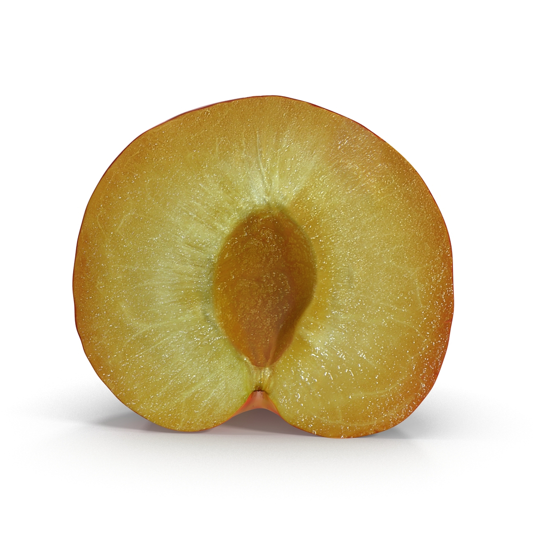3d model plum half 2 modeled https://p.turbosquid.com/ts-thumb/23/L1Q7yN/NtpkTpU5/plum_cross_section_2_360/jpg/1435692614/1920x1080/turn_fit_q99/f84cbcfd59a2273d353355f9bdc9bd5a2f2e7bc5/plum_cross_section_2_360-1.jpg