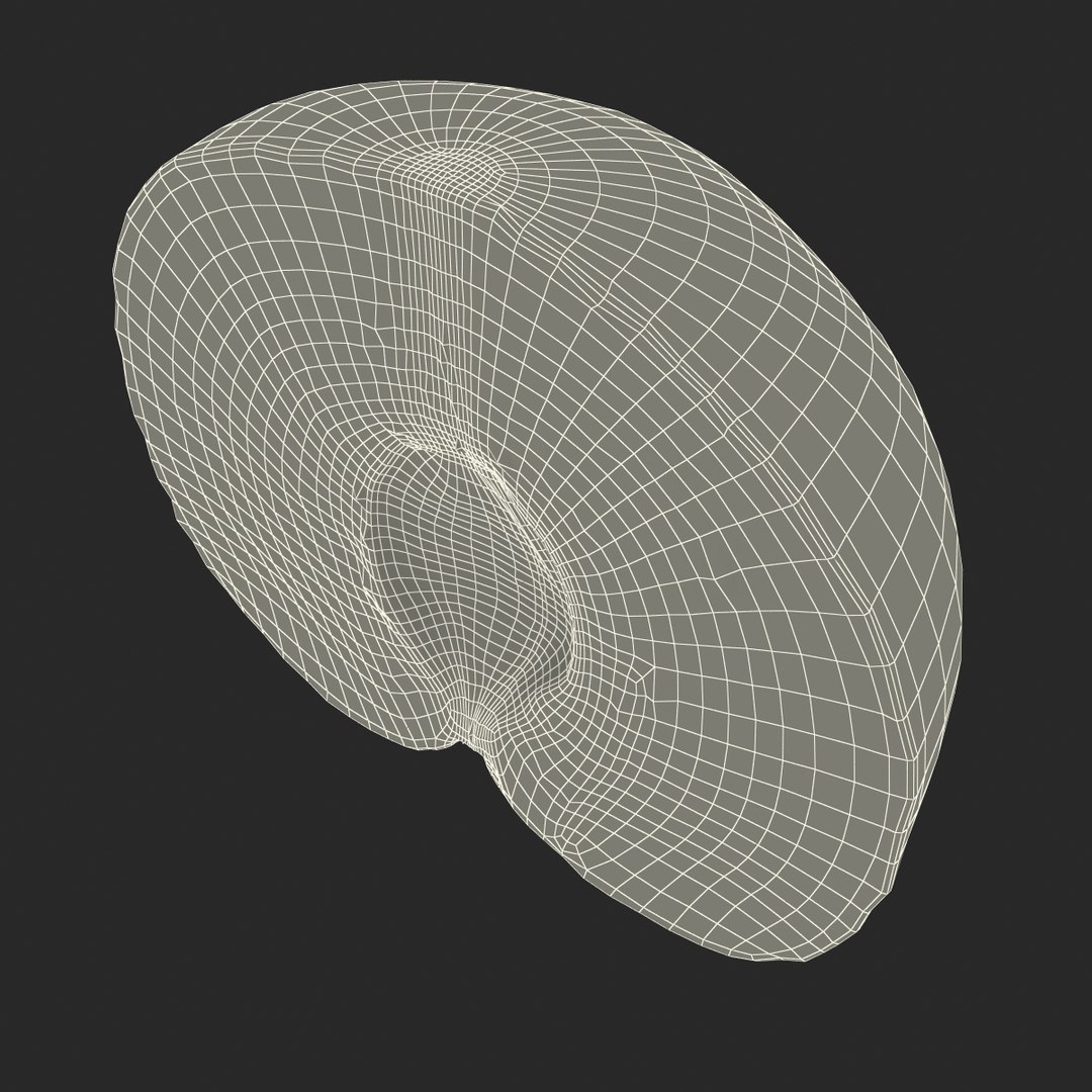 3d model plum half 2 modeled https://p.turbosquid.com/ts-thumb/23/L1Q7yN/QenwamvV/plumcrosssectionc4d3dmodel25/jpg/1435692578/1920x1080/fit_q87/ed25b0b462af119f1ea7319c4c1132408c688dd1/plumcrosssectionc4d3dmodel25.jpg