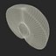 Plum Half 2 3D Model