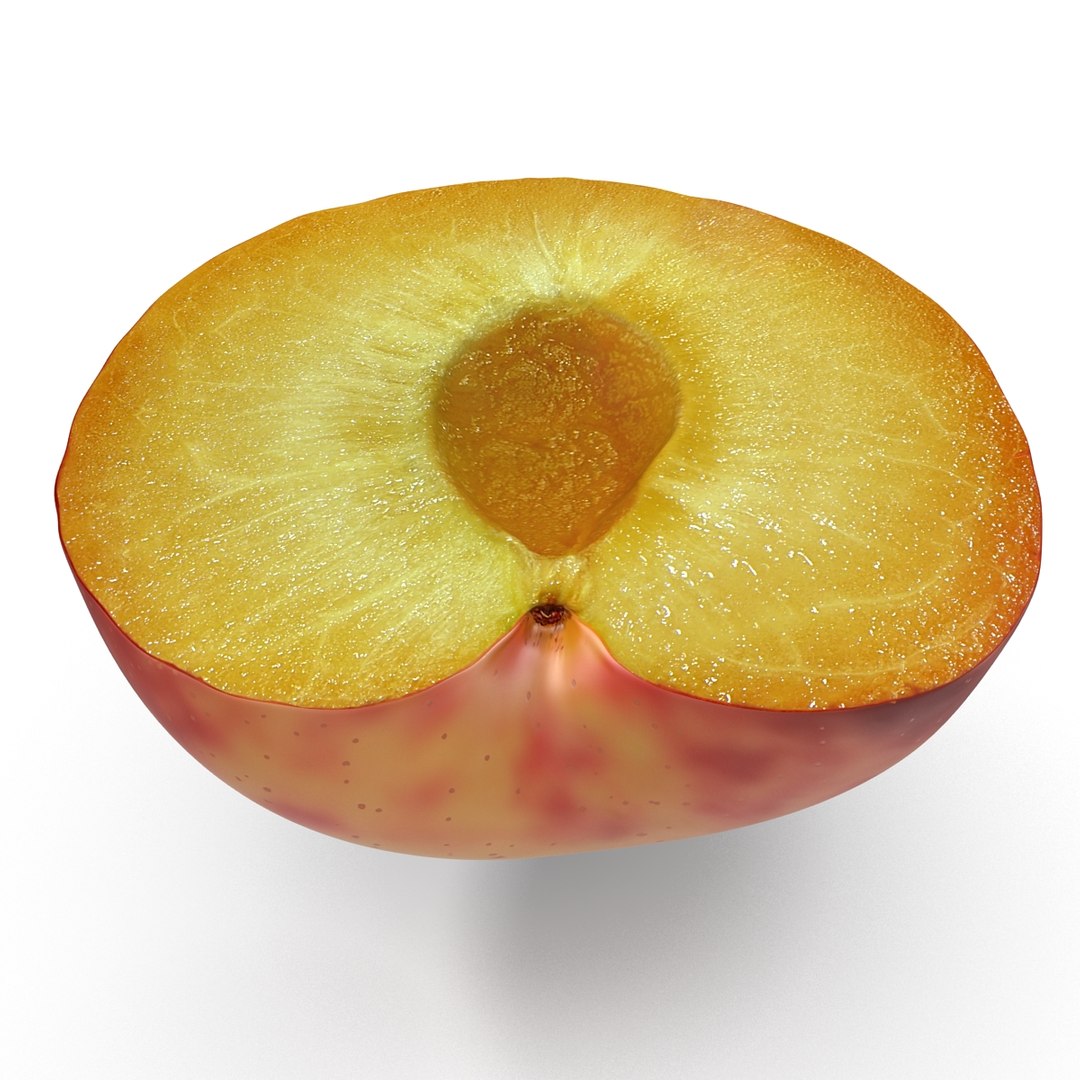 3d model plum half 2 modeled https://p.turbosquid.com/ts-thumb/23/L1Q7yN/ZJVeW2dM/plumcrosssectionc4d3dmodel09/jpg/1435692577/1920x1080/fit_q87/ddf7c1d6fe249d5388b198a36b5f88935358a649/plumcrosssectionc4d3dmodel09.jpg