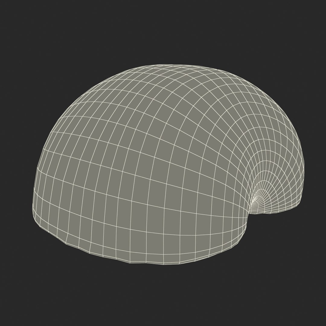 3d model plum half 2 modeled https://p.turbosquid.com/ts-thumb/23/L1Q7yN/hRo18z9m/plumcrosssectionc4d3dmodel23/jpg/1435692578/1920x1080/fit_q87/40849b5d50215e5fbf95f6a68d16603b608b5d4e/plumcrosssectionc4d3dmodel23.jpg