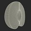 Plum Half 2 3D Model