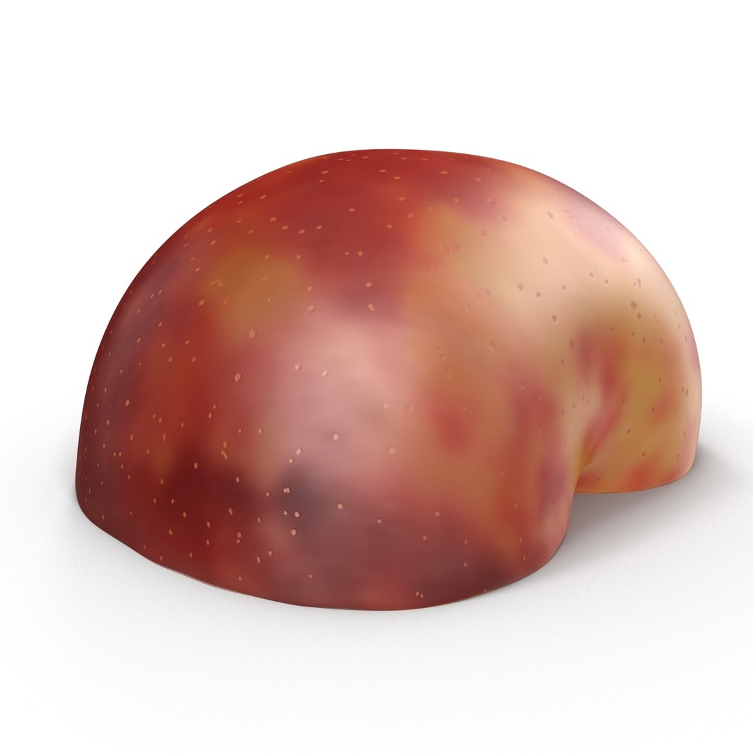 3d model plum half 2 modeled https://p.turbosquid.com/ts-thumb/23/L1Q7yN/nyAGziTA/plumcrosssectionc4d3dmodel12/jpg/1435692577/1920x1080/fit_q87/c2aae044e1887d43405b96eeb40b4e4f37c6d03e/plumcrosssectionc4d3dmodel12.jpg