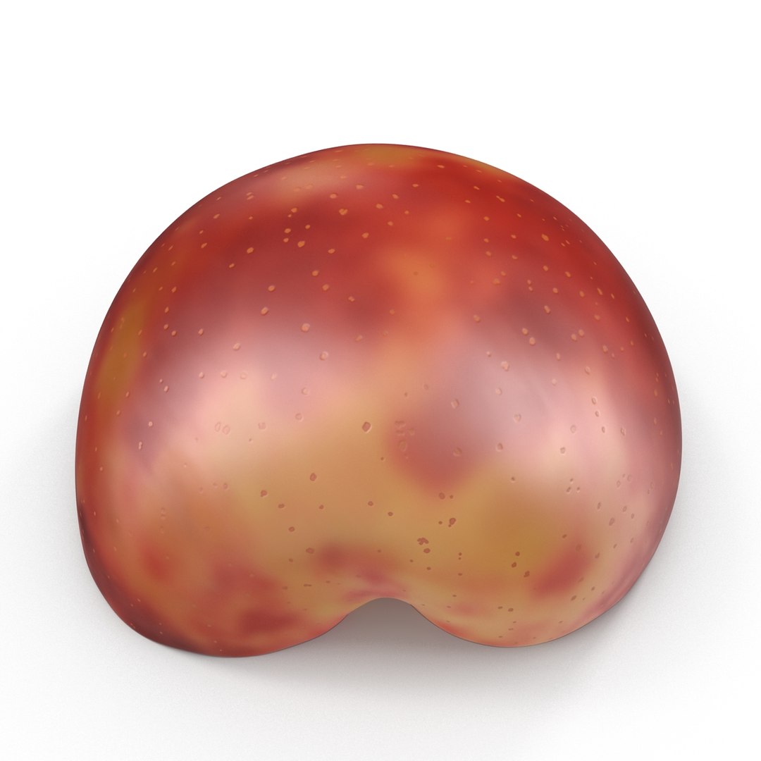 3d model plum half 2 modeled https://p.turbosquid.com/ts-thumb/23/L1Q7yN/vIPR1Rza/plumcrosssectionc4d3dmodel11/jpg/1435692577/1920x1080/fit_q87/be037aeaef90d87f425643540f3f8f462848c3d1/plumcrosssectionc4d3dmodel11.jpg