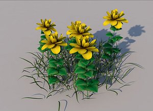 3D flower wide leaf