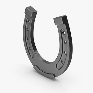 Metal Horseshoe
