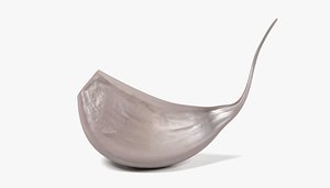 Garlic Clove