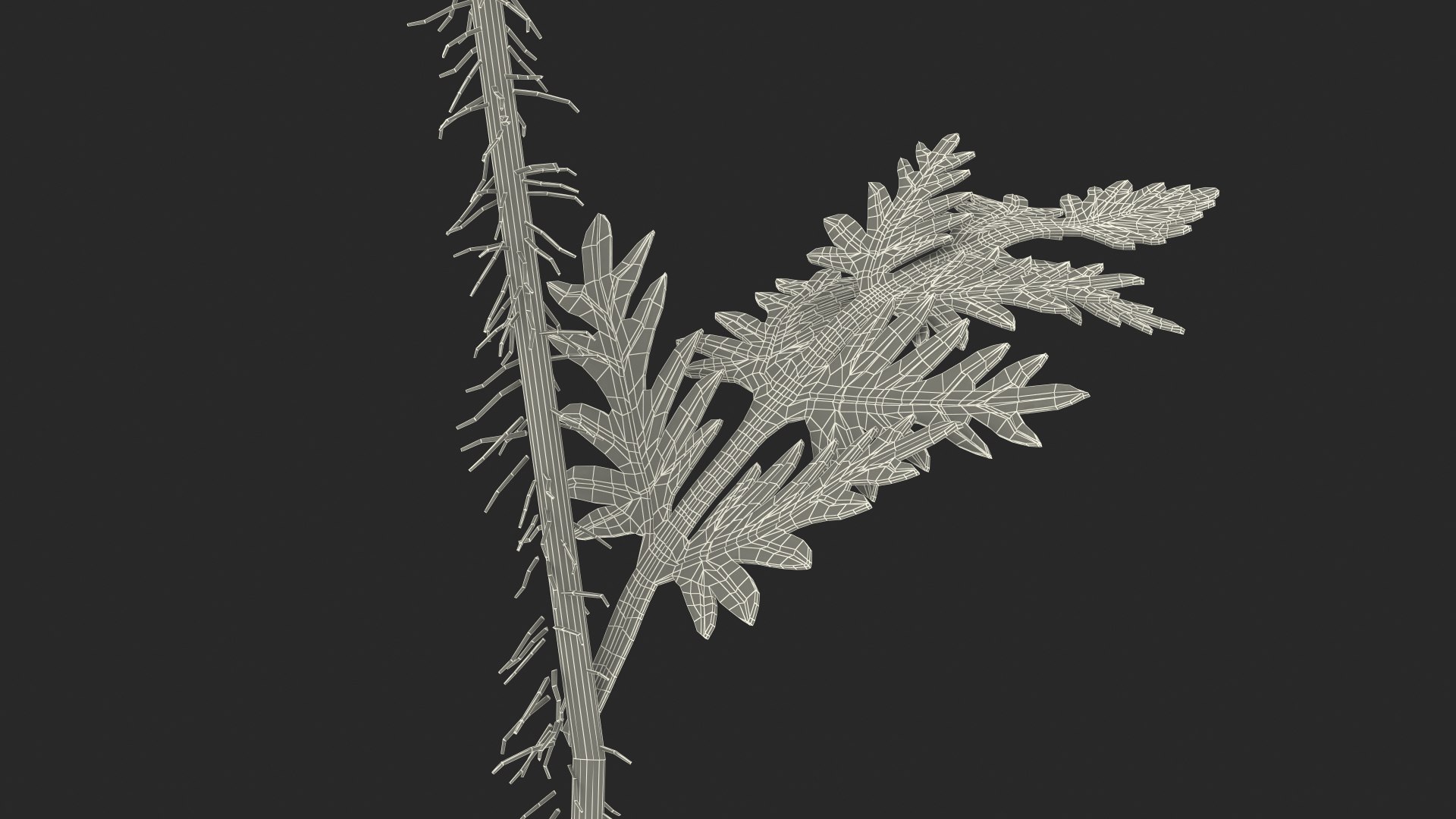 young poppy flower bud 3D model https://p.turbosquid.com/ts-thumb/23/bN73No/Hv40acks/youngpoppyflowerbudmb3dmodel021/jpg/1592951759/1920x1080/fit_q87/b1af5cfe8cfc3181779fce393f2ba099d8b6e6d1/youngpoppyflowerbudmb3dmodel021.jpg