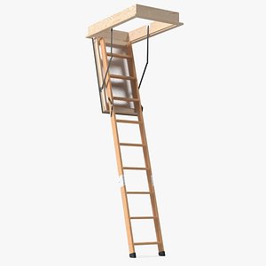 Attic Ladder model