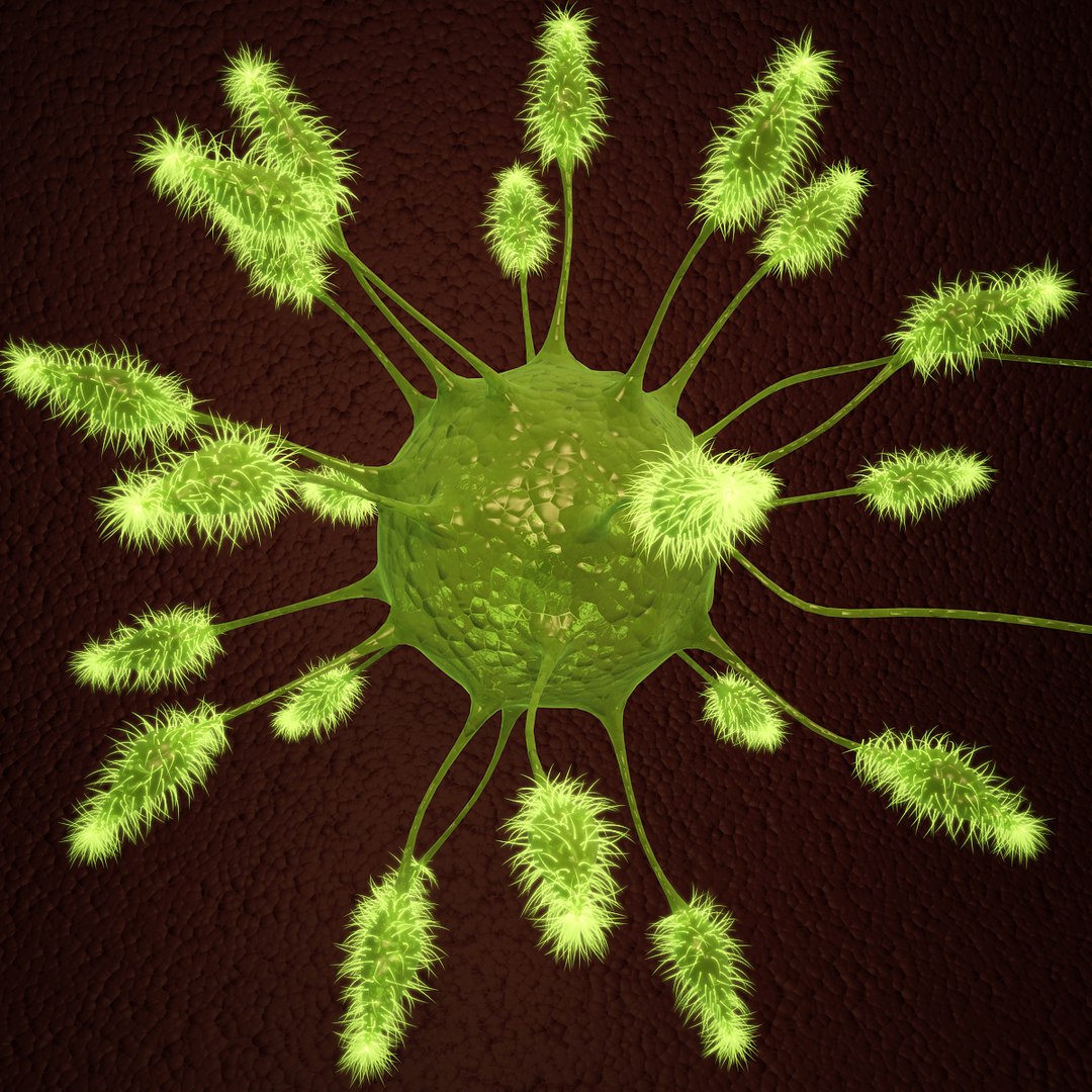 3d green bacteria model https://p.turbosquid.com/ts-thumb/23/t3ryAx/tQ4Qf2v1/new_green_bacteria_view02/jpg/1331610623/1920x1080/fit_q87/5d3e50417e4818609299f3a70e04bed19e8045f1/new_green_bacteria_view02.jpg