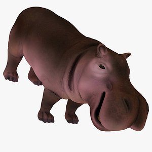 3D hippo model
