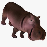 Hippo