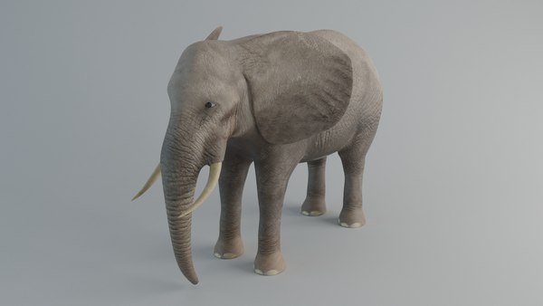 elephant_renders_001.jpg