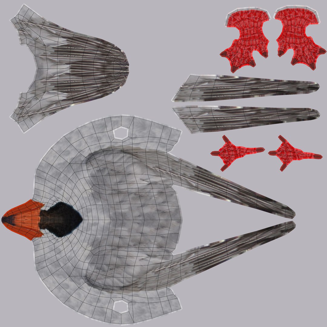 Sea and shore birds 3D model https://p.turbosquid.com/ts-thumb/24/8fQPyX/PQ/tern.uvs/jpg/1647271738/1920x1080/fit_q87/2fcb116fca8ab6310239235c5718844155a5f753/tern.uvs.jpg
