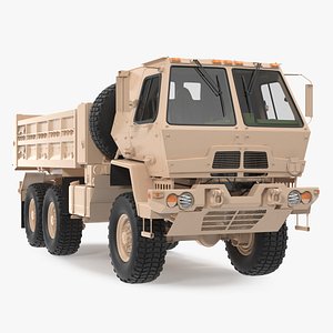 3D Oshkosh FMTV 10 Ton Dump Truck model