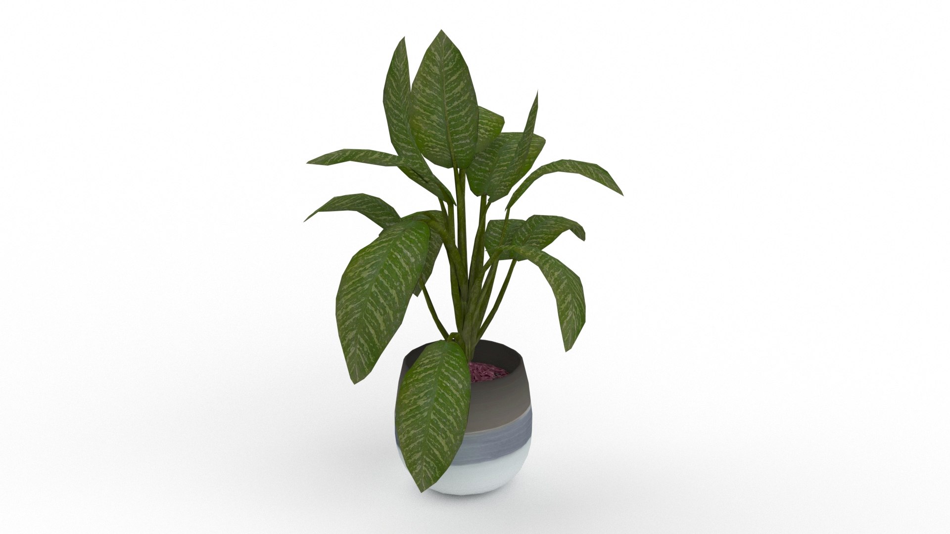 3D Dumb Cane model https://p.turbosquid.com/ts-thumb/24/HzotAR/2d/9/jpg/1777726812/1920x1080/fit_q87/b6cd1417218f6501976f14df48c9ef572d1f3c67/9.jpg