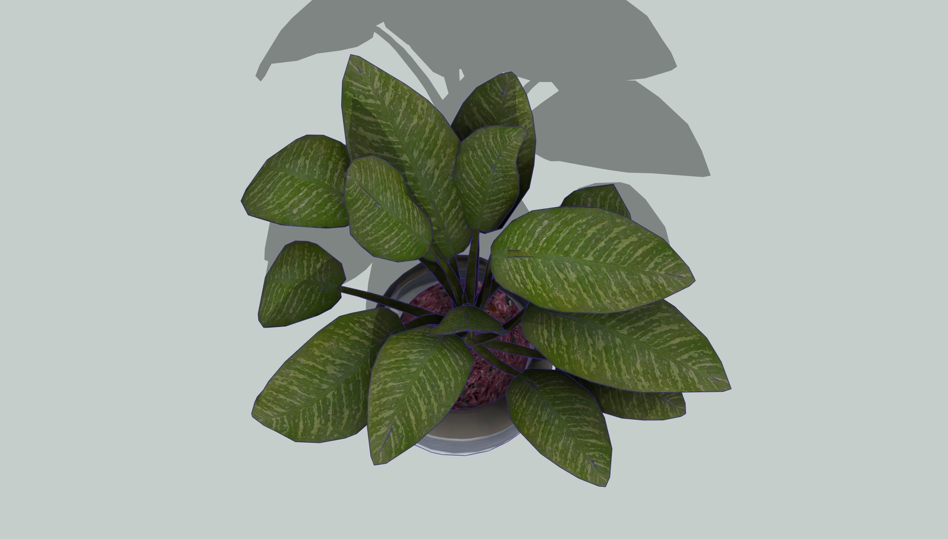 3D Dumb Cane model https://p.turbosquid.com/ts-thumb/24/HzotAR/Os/5/jpg/1777726810/1920x1080/fit_q87/5f70873726ef676723210f6c1548a164bfdc3595/5.jpg