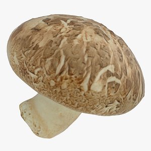 shiitake mushroom 3D model