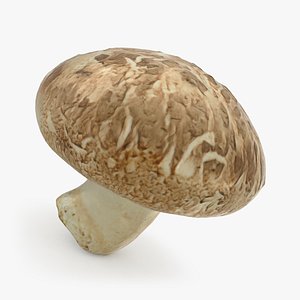 1,013 Shimeji Shitake Images, Stock Photos, 3D objects, & Vectors