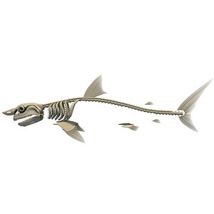 Fish Skeleton 3D Models for Download