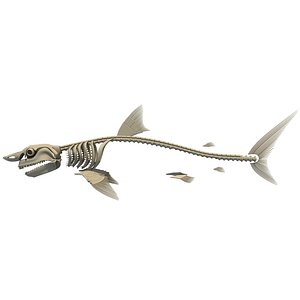 Great White Shark Skeleton