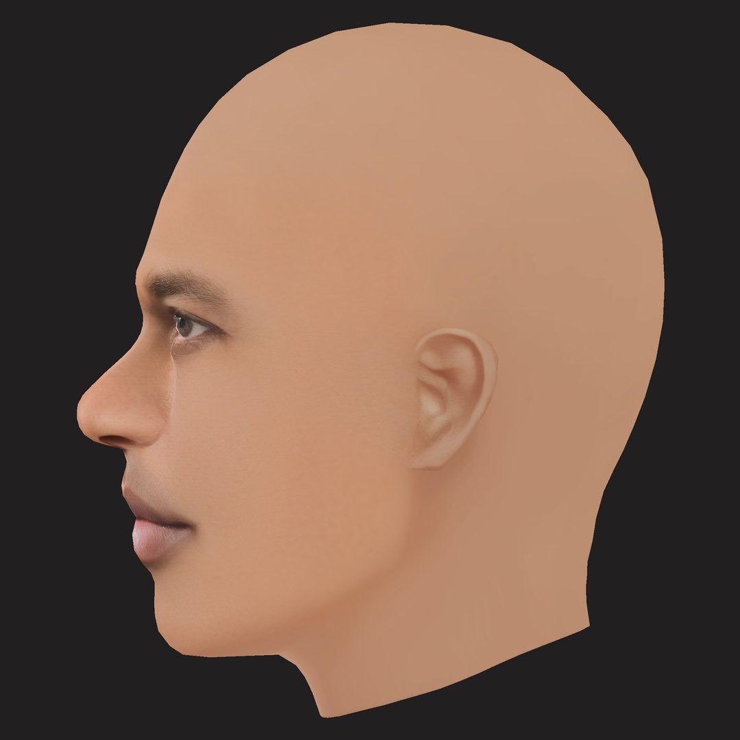 Low Poly AAP Ferg Rapper Head 3D https://p.turbosquid.com/ts-thumb/24/R5mHlB/8h/03/png/1791948776/1920x1080/fit_q87/b2d1bf13c5e3e12dfcc78b27c063e011907108d7/03.jpg