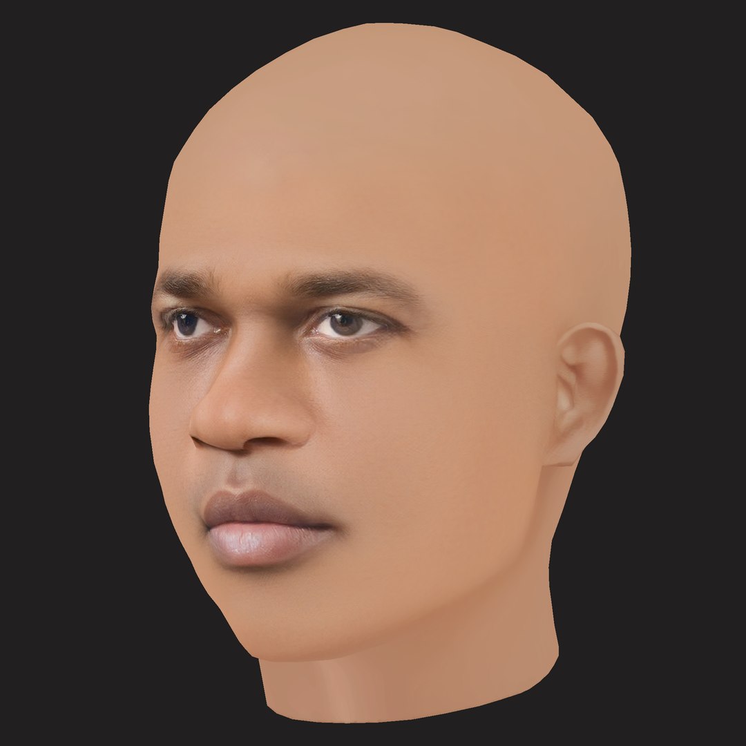 Low Poly AAP Ferg Rapper Head 3D https://p.turbosquid.com/ts-thumb/24/R5mHlB/CJ/02/png/1791948768/1920x1080/fit_q87/24717010f10c234b2433dbceab1654a767d707a7/02.jpg