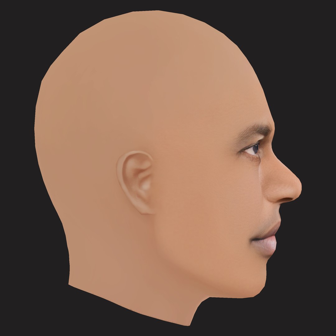 Low Poly AAP Ferg Rapper Head 3D https://p.turbosquid.com/ts-thumb/24/R5mHlB/Py/06/png/1791948783/1920x1080/fit_q87/4f67aaa88c97c07b39d56e9916d106b193407f28/06.jpg