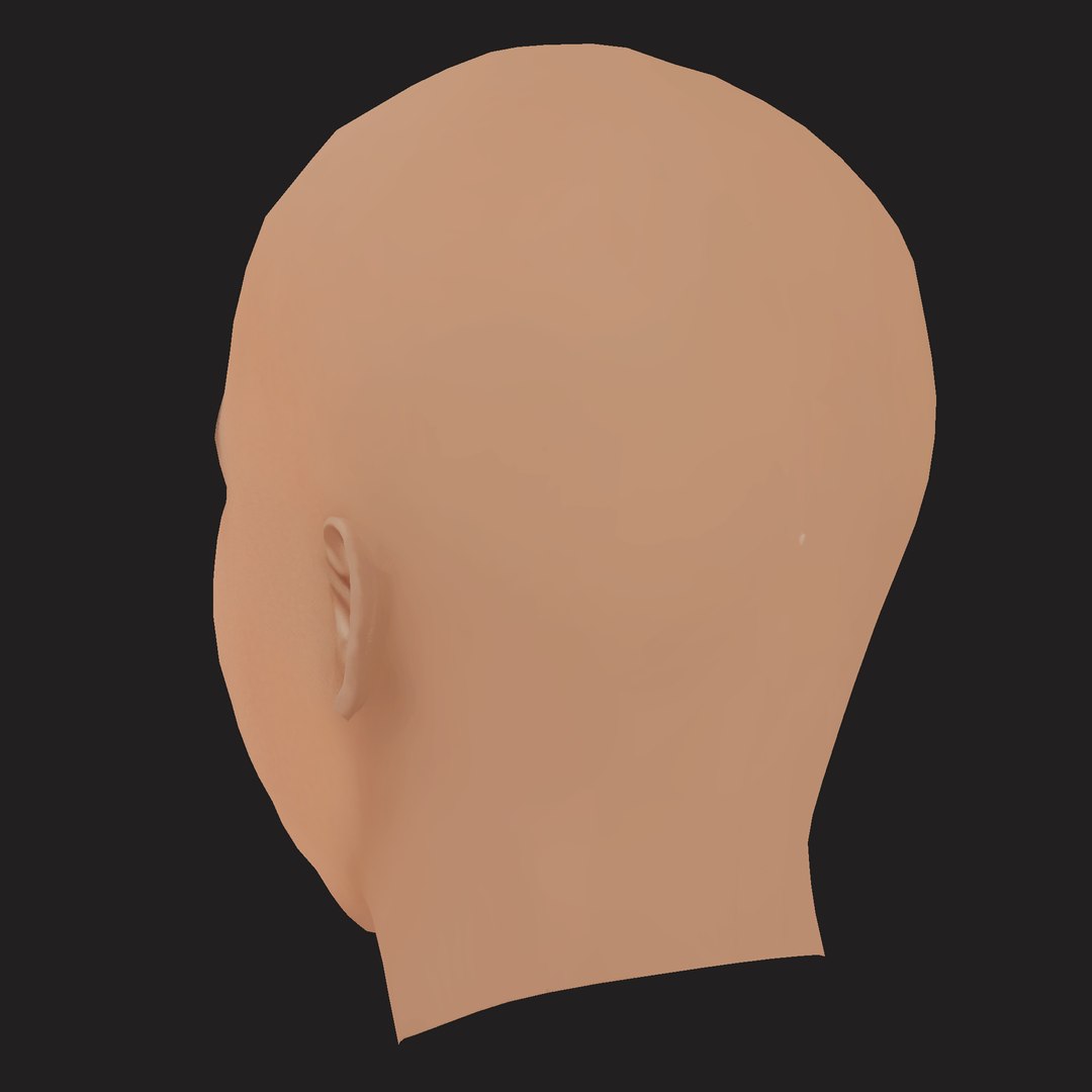 Low Poly AAP Ferg Rapper Head 3D https://p.turbosquid.com/ts-thumb/24/R5mHlB/Rf/04/png/1791948776/1920x1080/fit_q87/c04819505d68c27784c70b76e2b93e0aa8347cf4/04.jpg