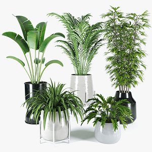 Indoor plants set01 model