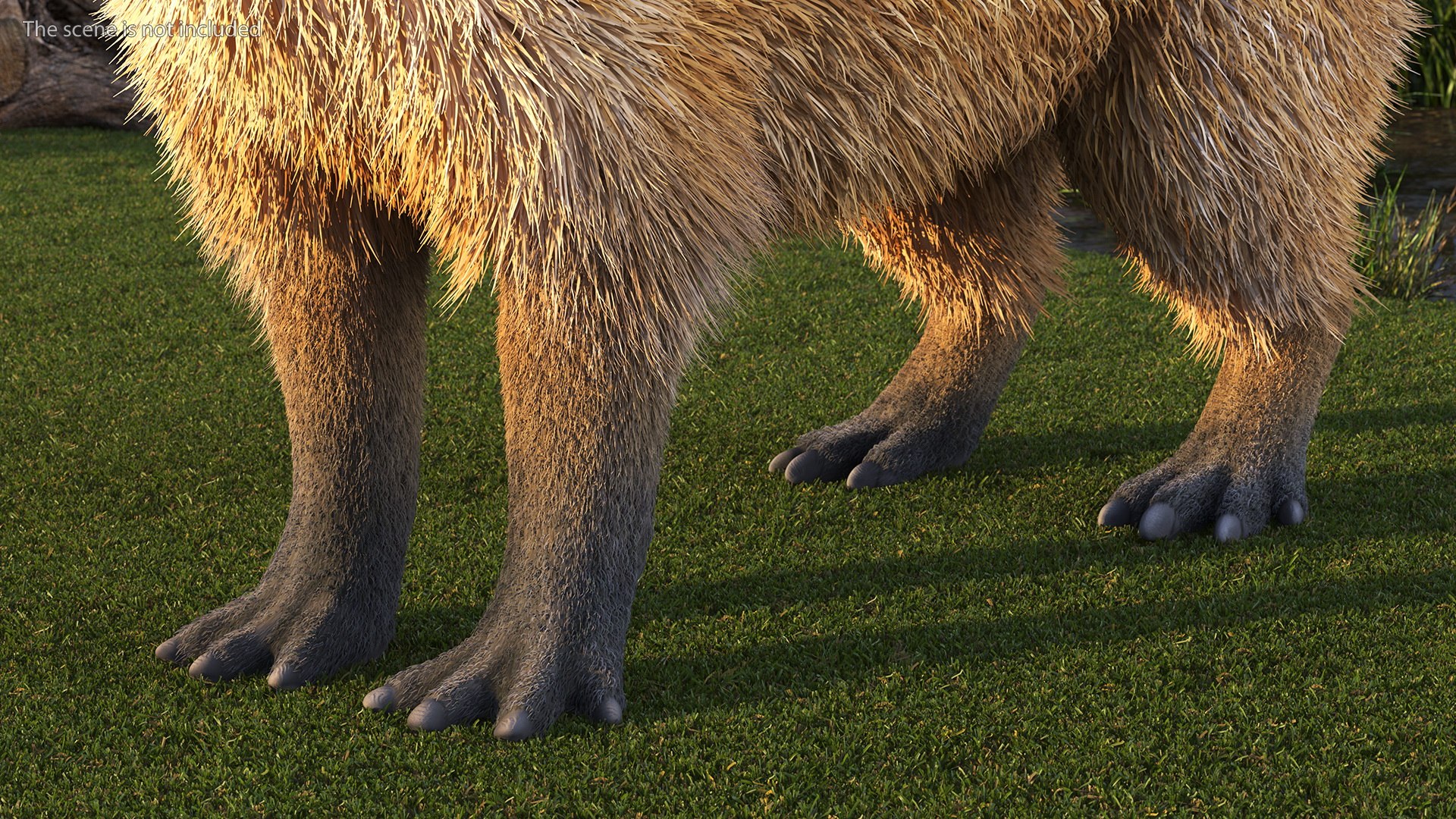 3D Capybara Fur Rigged model https://p.turbosquid.com/ts-thumb/24/eYK8hu/7B/capybarafurriggedc4dmodel011/jpg/1661744357/1920x1080/fit_q87/62f82b4e31e600325e85ee49d103bb190801daac/capybarafurriggedc4dmodel011.jpg