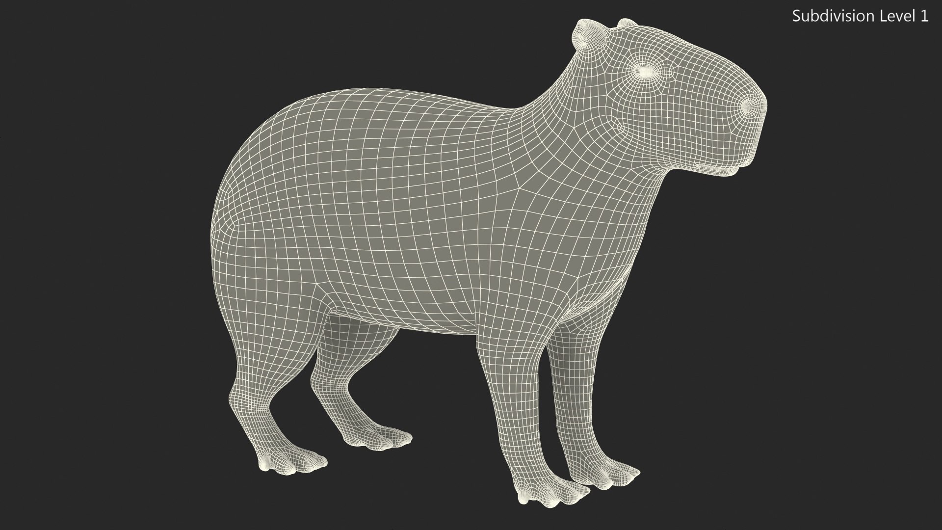 3D Capybara Fur Rigged model https://p.turbosquid.com/ts-thumb/24/eYK8hu/Dg/capybarafurriggedc4dmodel021/jpg/1661744389/1920x1080/fit_q87/ffeb0597210d5f86766d4e94b1b6db332e445a44/capybarafurriggedc4dmodel021.jpg