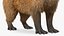 Capybara Fur Rigged