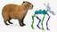 Capybara Fur Rigged