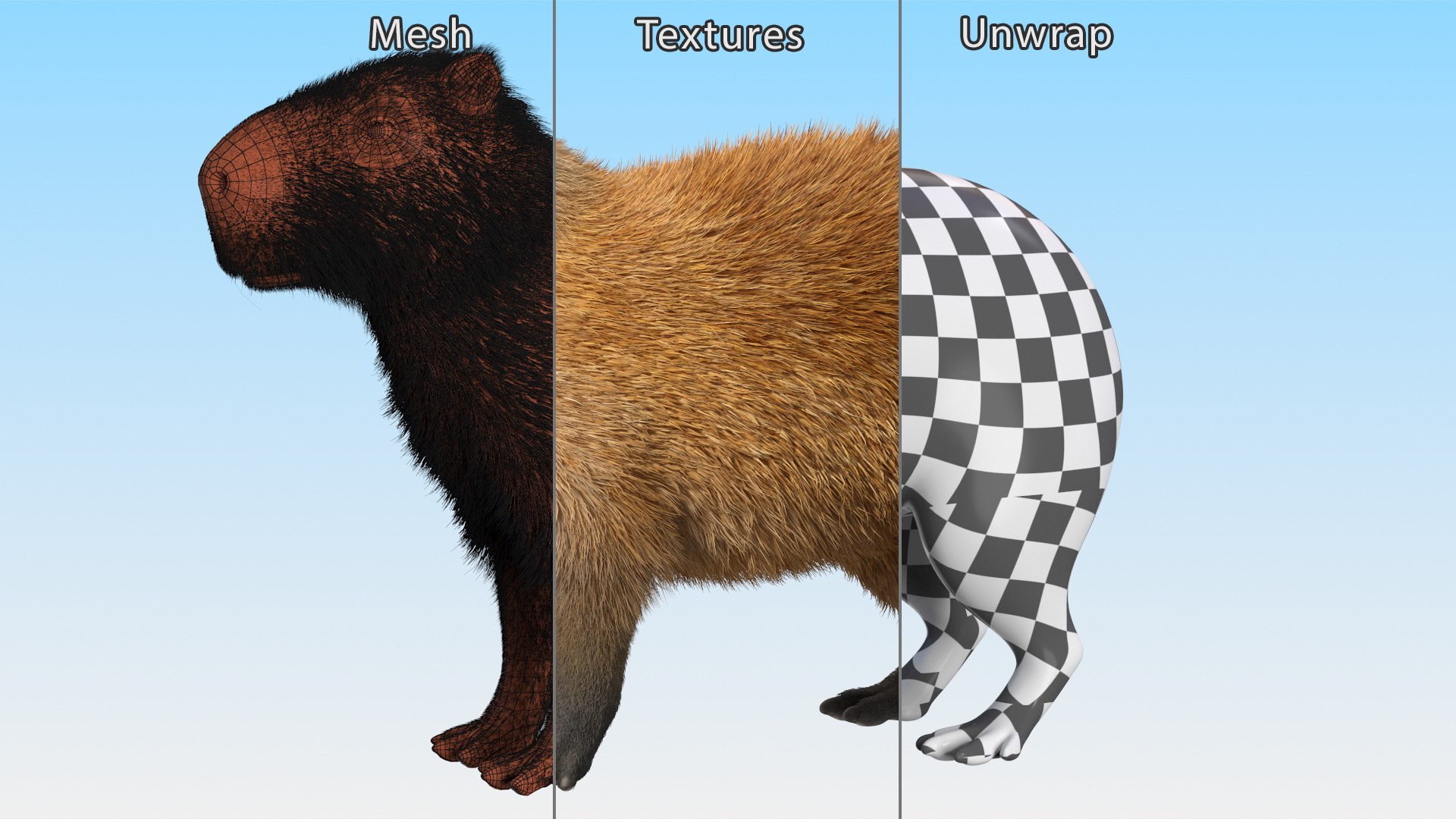 3D Capybara Fur Rigged model https://p.turbosquid.com/ts-thumb/24/eYK8hu/sn/capybarafurriggedc4dmodel019/jpg/1661744384/1920x1080/fit_q87/3477a5ea3fbf37d81fcb6d1964fa378b6b2cb79c/capybarafurriggedc4dmodel019.jpg