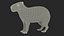Capybara Fur Rigged