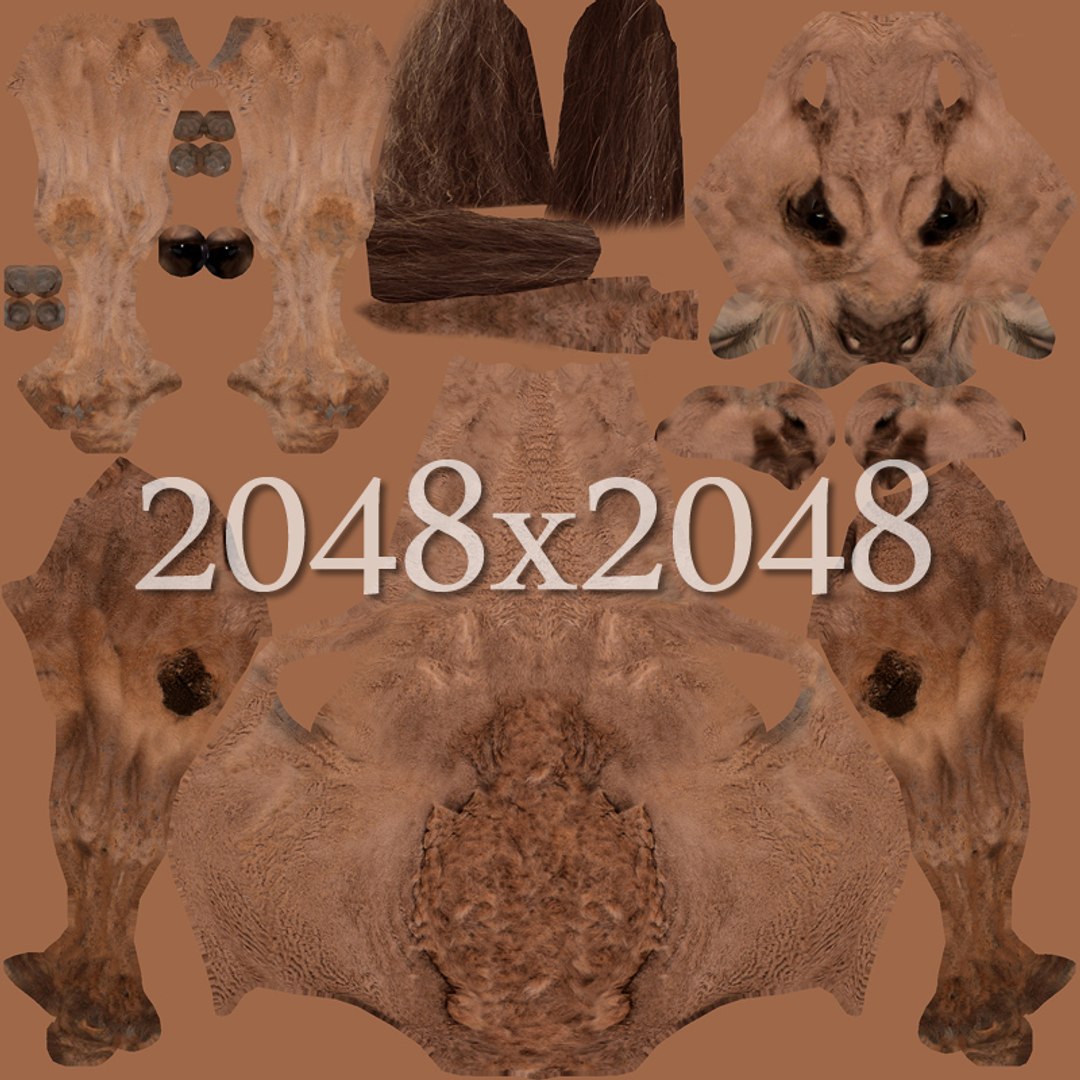 3d bump model https://p.turbosquid.com/ts-thumb/24/oIKjff/2mJwsrIS/camel_texture_1/jpg/1290767513/1920x1080/fit_q87/8ea7c6094d2913e75923091701fe0dddb030ee63/camel_texture_1.jpg