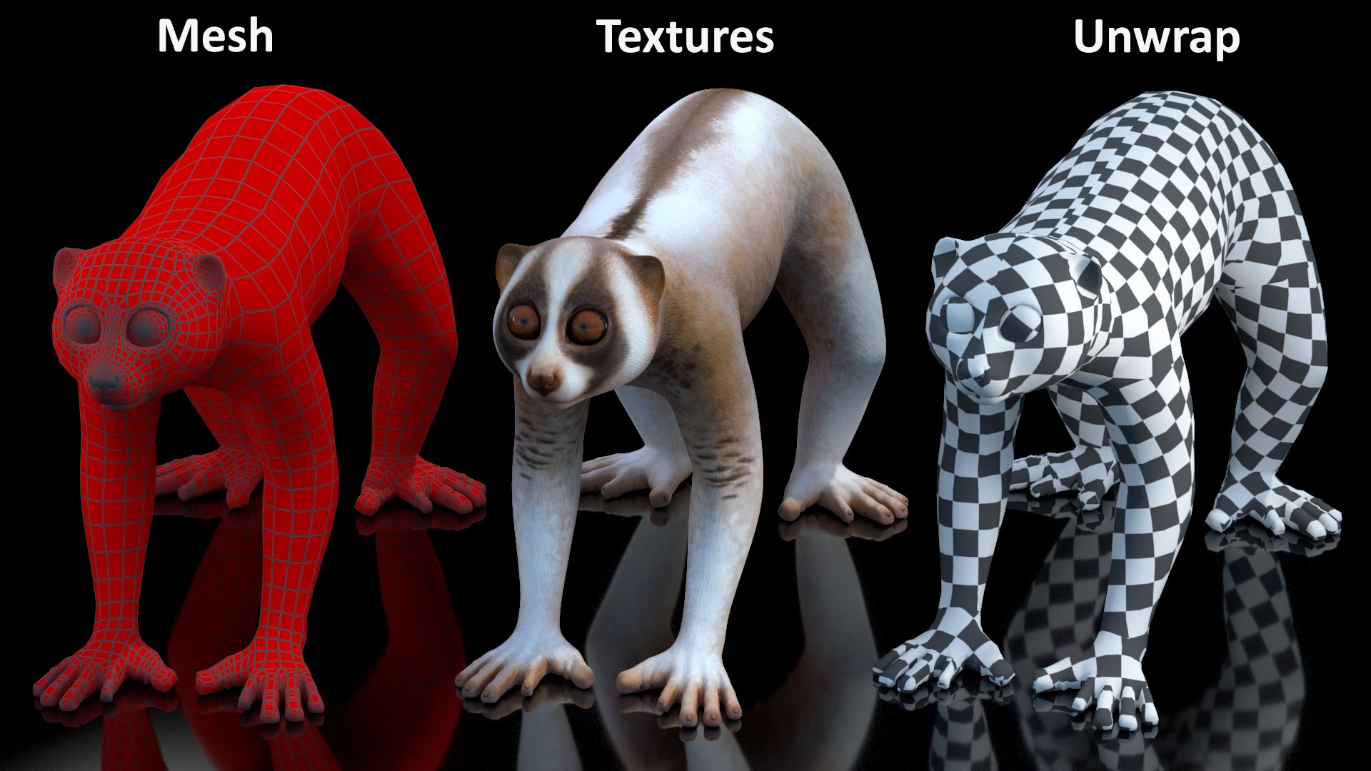 Bengal Slow Loris model https://p.turbosquid.com/ts-thumb/24/rVg0mn/0V/bengalslowloris3dmodel017/jpg/1698160797/1920x1080/fit_q87/11c70cd577779a44f06fe56e4cb5cf9f740519ed/bengalslowloris3dmodel017.jpg