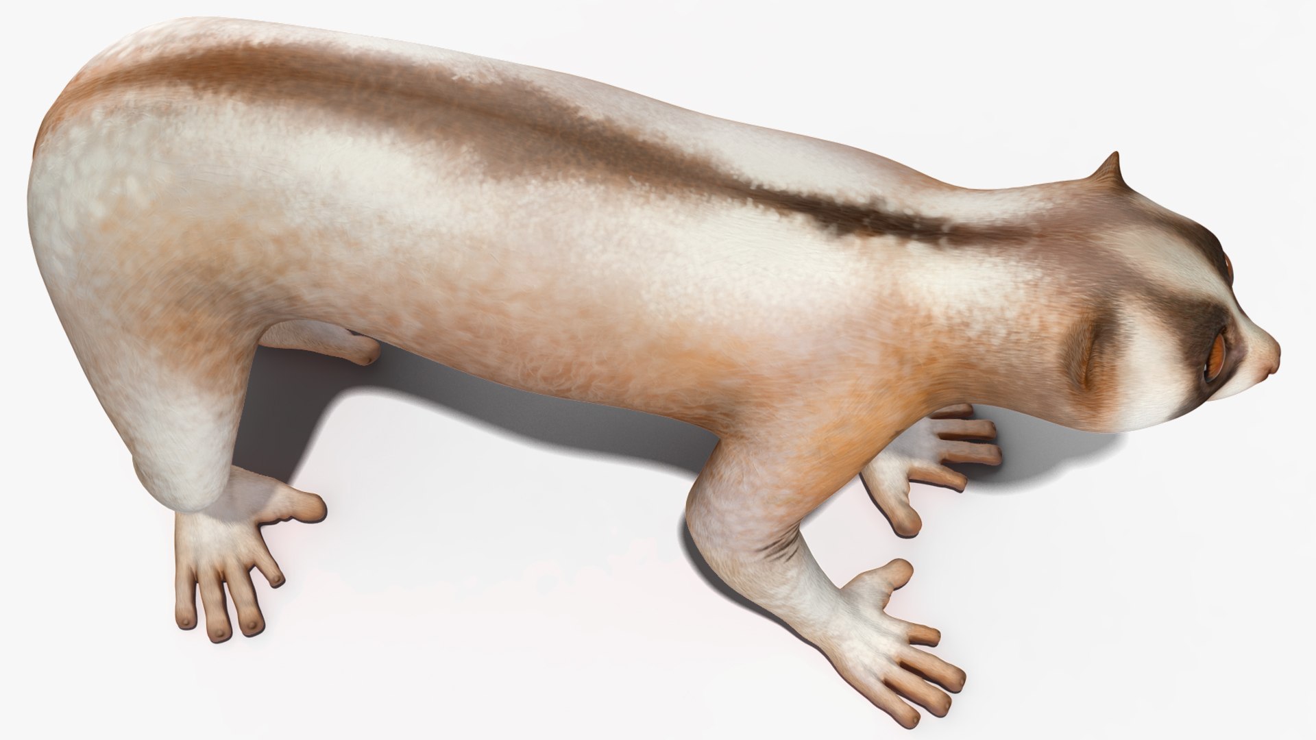 Bengal Slow Loris model https://p.turbosquid.com/ts-thumb/24/rVg0mn/7J/bengalslowloris3dmodel010/jpg/1698160759/1920x1080/fit_q87/3dd14f7cf3f6523f495c4929189d58bc11687204/bengalslowloris3dmodel010.jpg