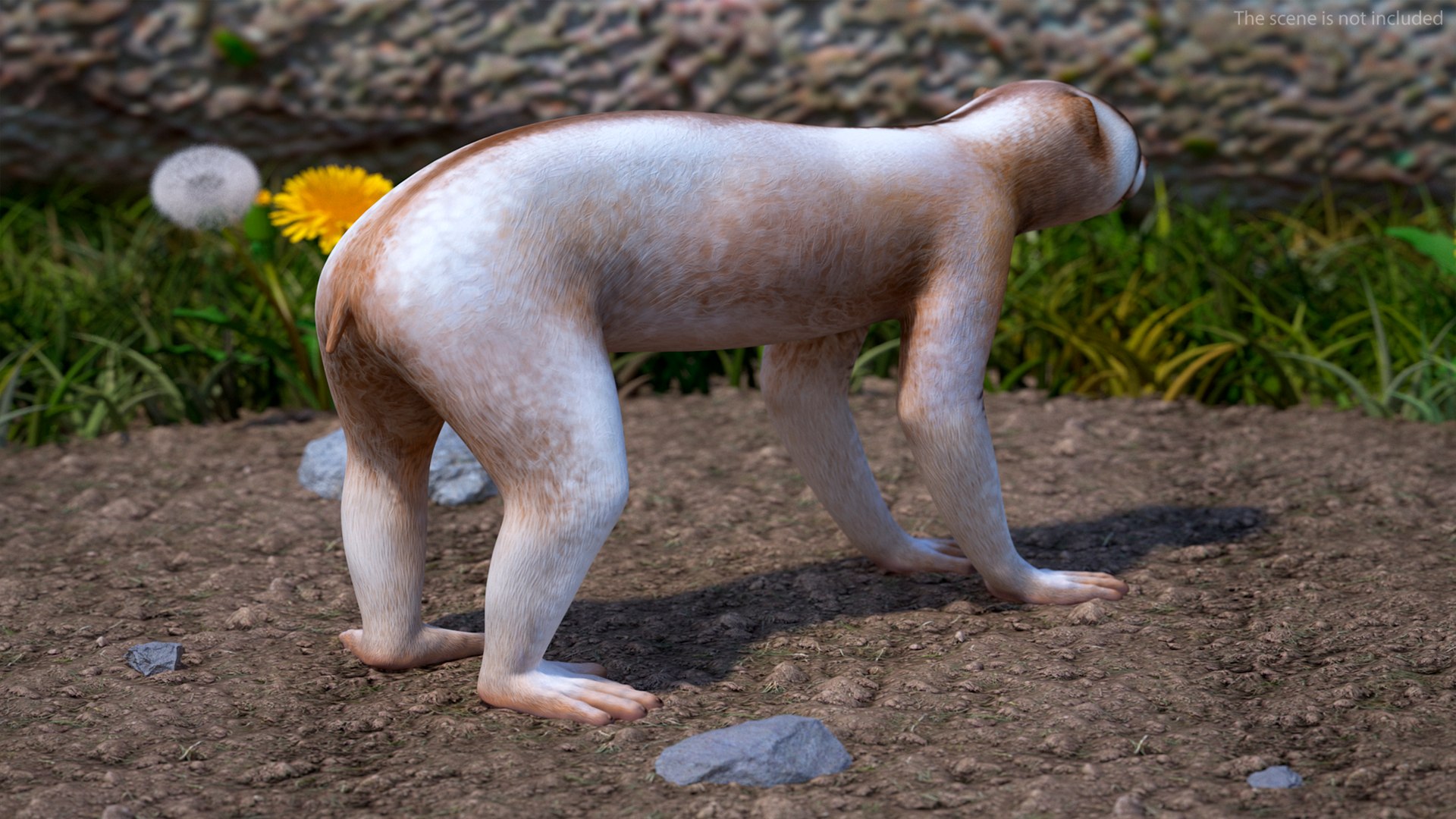 Bengal Slow Loris model https://p.turbosquid.com/ts-thumb/24/rVg0mn/RE/bengalslowloris3dmodel004/jpg/1698160718/1920x1080/fit_q87/067259d97d1cb0fe1bdc61777680f5038805c65f/bengalslowloris3dmodel004.jpg