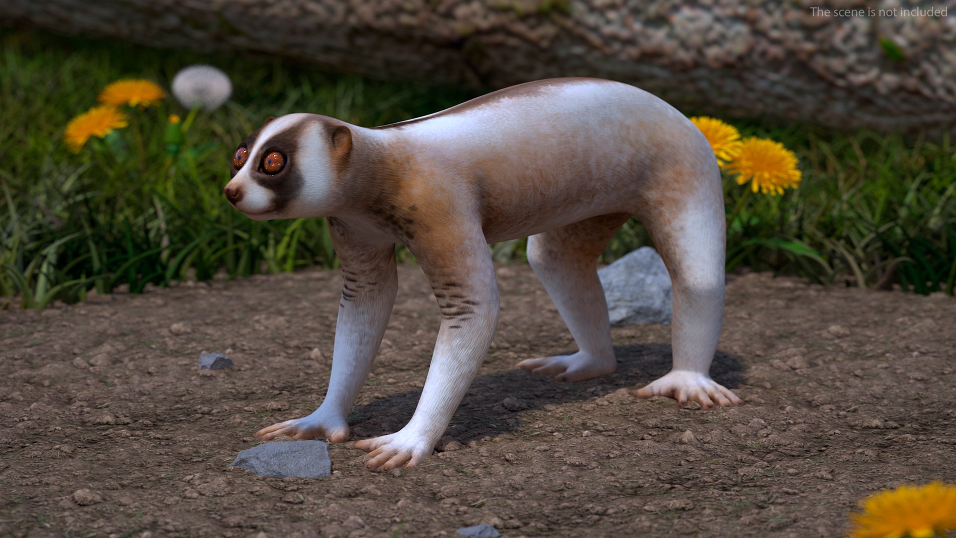 Bengal Slow Loris model https://p.turbosquid.com/ts-thumb/24/rVg0mn/WC/bengalslowloris3dmodel002/jpg/1698160702/1920x1080/fit_q87/94bf046bfd7e8610fa378145bb634460d11aa503/bengalslowloris3dmodel002.jpg
