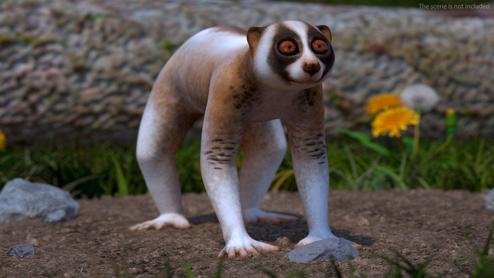 Bengal Slow Loris model https://p.turbosquid.com/ts-thumb/24/rVg0mn/Zu/bengalslowloris3dmodel003/jpg/1698160709/1920x1080/fit_q87/4c6ef12c2a81f447ce9ca7c482f7d98e3b12bcfb/bengalslowloris3dmodel003.jpg