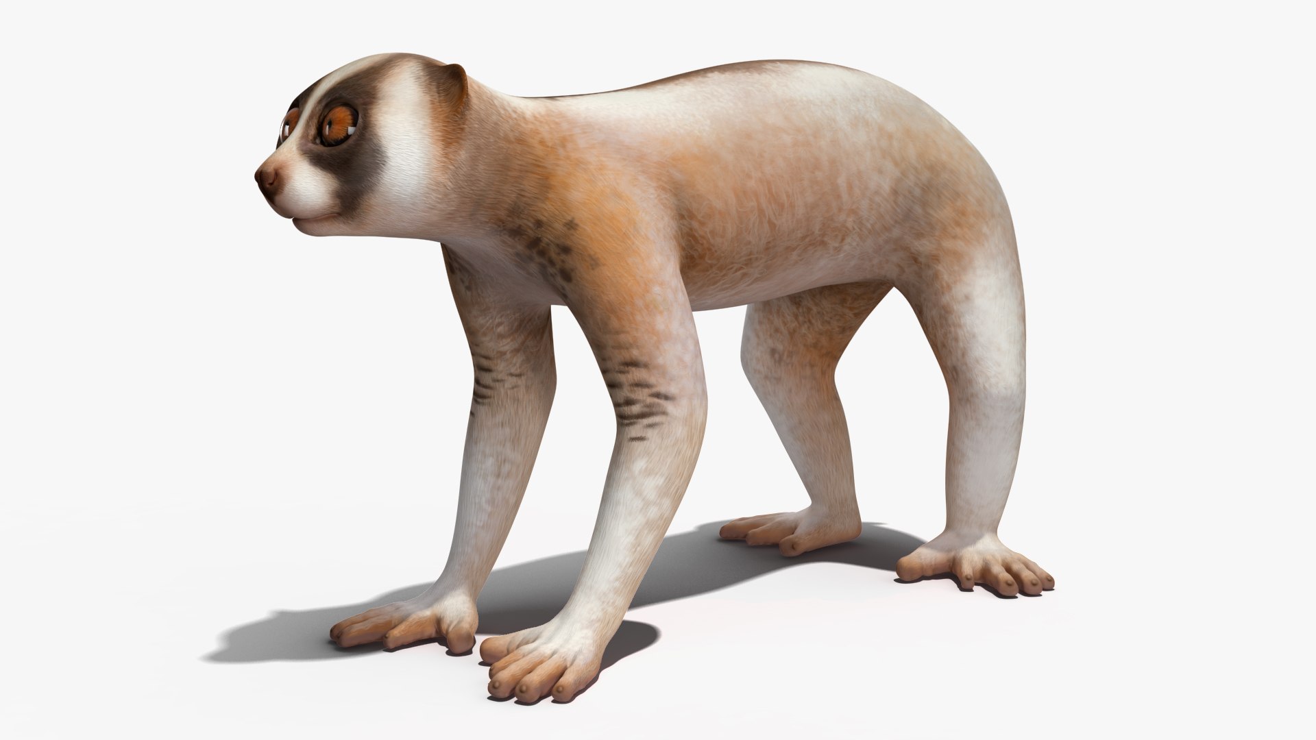 Bengal Slow Loris model https://p.turbosquid.com/ts-thumb/24/rVg0mn/dG/bengalslowloris3dmodel007/jpg/1698160736/1920x1080/fit_q87/0153da0ab5a72e6bfb85a48b1edfc8e0ae616cb6/bengalslowloris3dmodel007.jpg